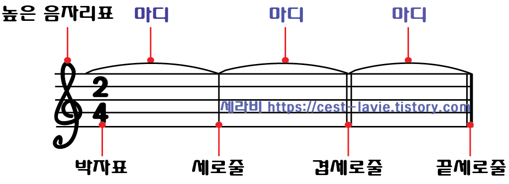 건반위에콩나물 이미지