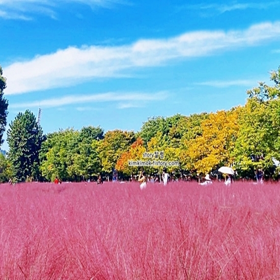 하남 가볼만한곳 베스트10