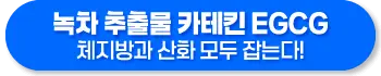 녹차 추출물 카테킨 EGCG 효능, 복용방법, 주의사항