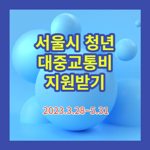  서울시 청년 대중교통비 지원사업 혜택받기