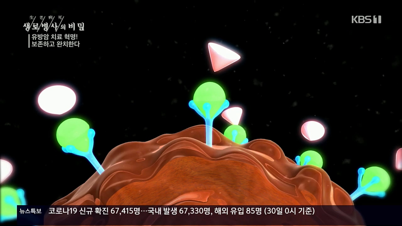 생로병사의 비밀.E845.221131p.H264-F1RST.mp4_20221201_215320.615.jpg