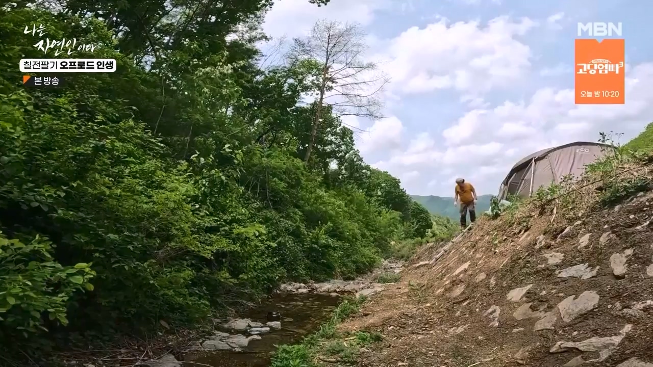 나는 자연인이다.E557.230608p-NEXT.mp4_20230608_194913.894.jpg