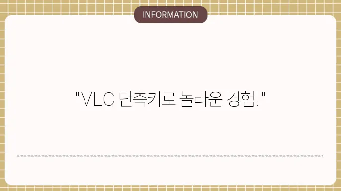 VLC 플레이어 고급 기능 화면