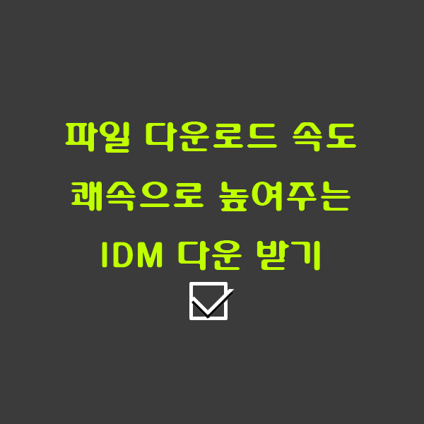 Internet Download Manager 무료 설치