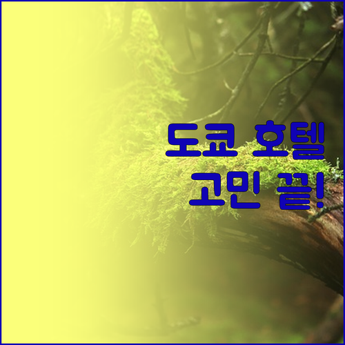 도쿄 호텔 고민 끝! 가성비 & 위치