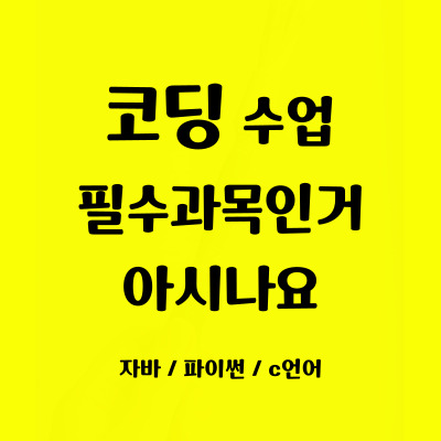  판교동 초등 중등 코딩 운중동 자바스크립트 코딩배우기 방학특강 필수과목 일대일 사고력 집중력