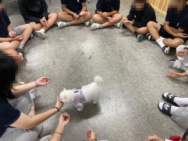 효정중학교 이미지