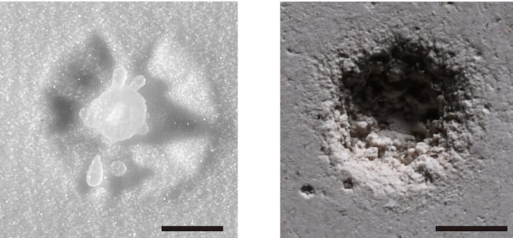 물방울의 낙하 충격이 표면 잠식하는 메커니즘 세계 최초 규명 VIDEO: New study solves mystery of how soft liquid droplets erode hard surfaces