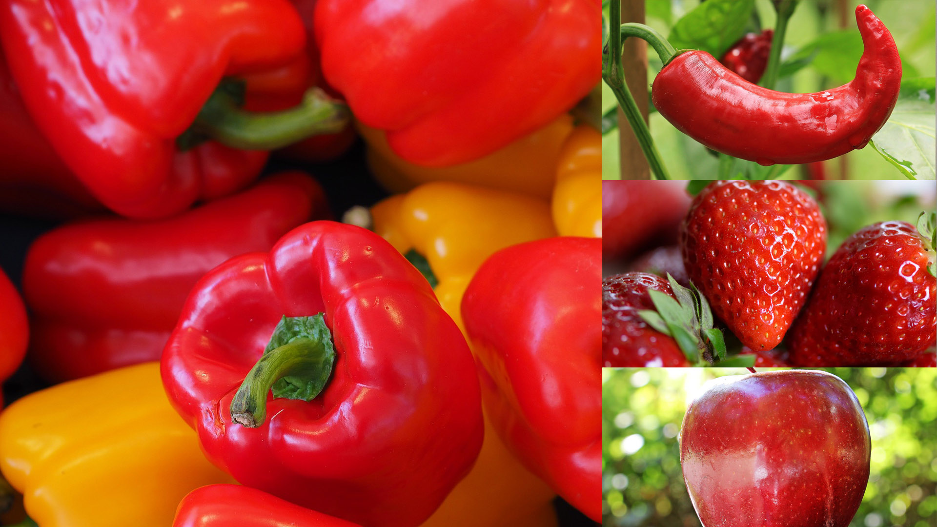 피망&#44; 고추&#44; 딸기&#44; 사과등 빨간색 과일과 채소 이미지