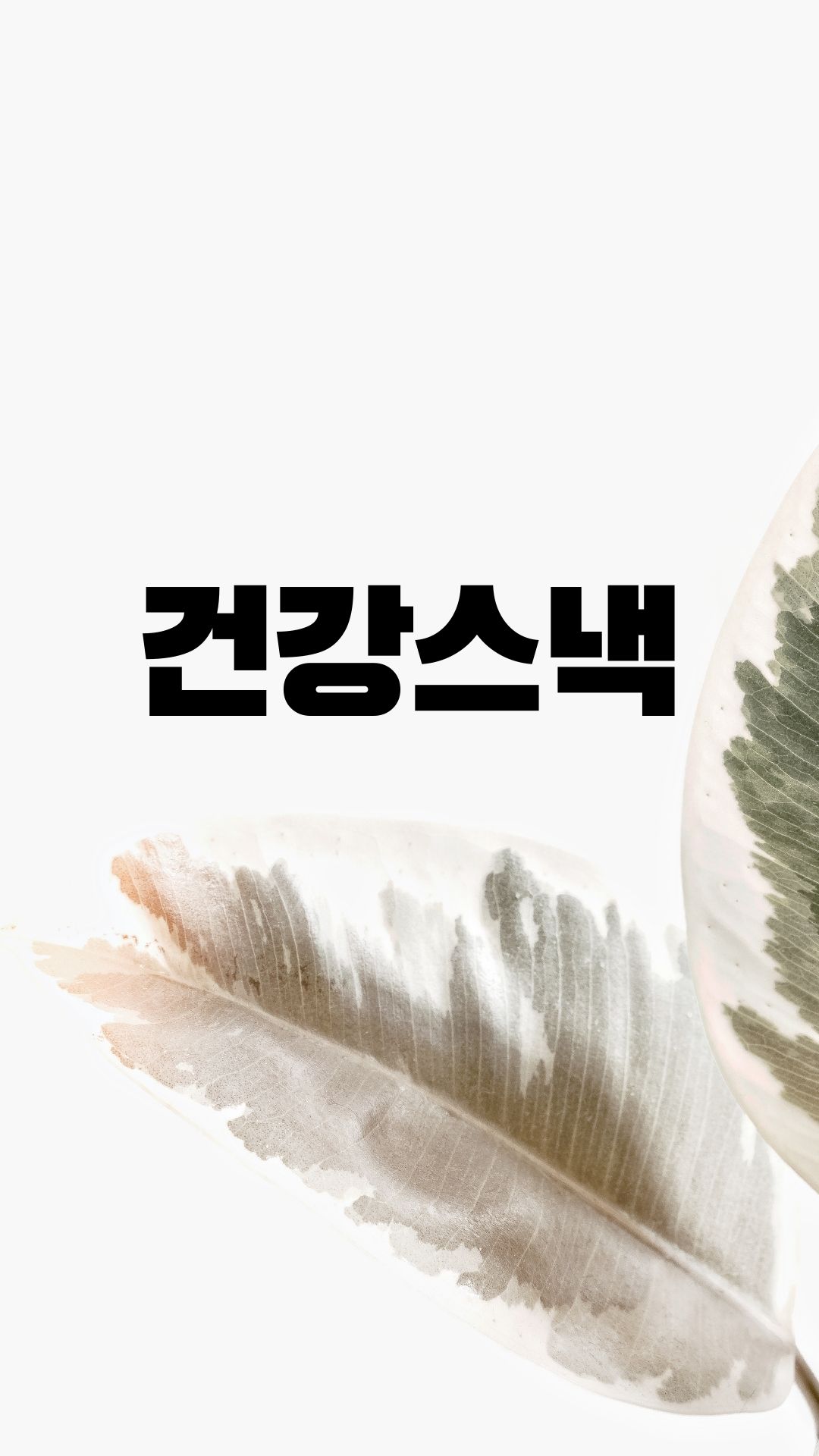  건강과자