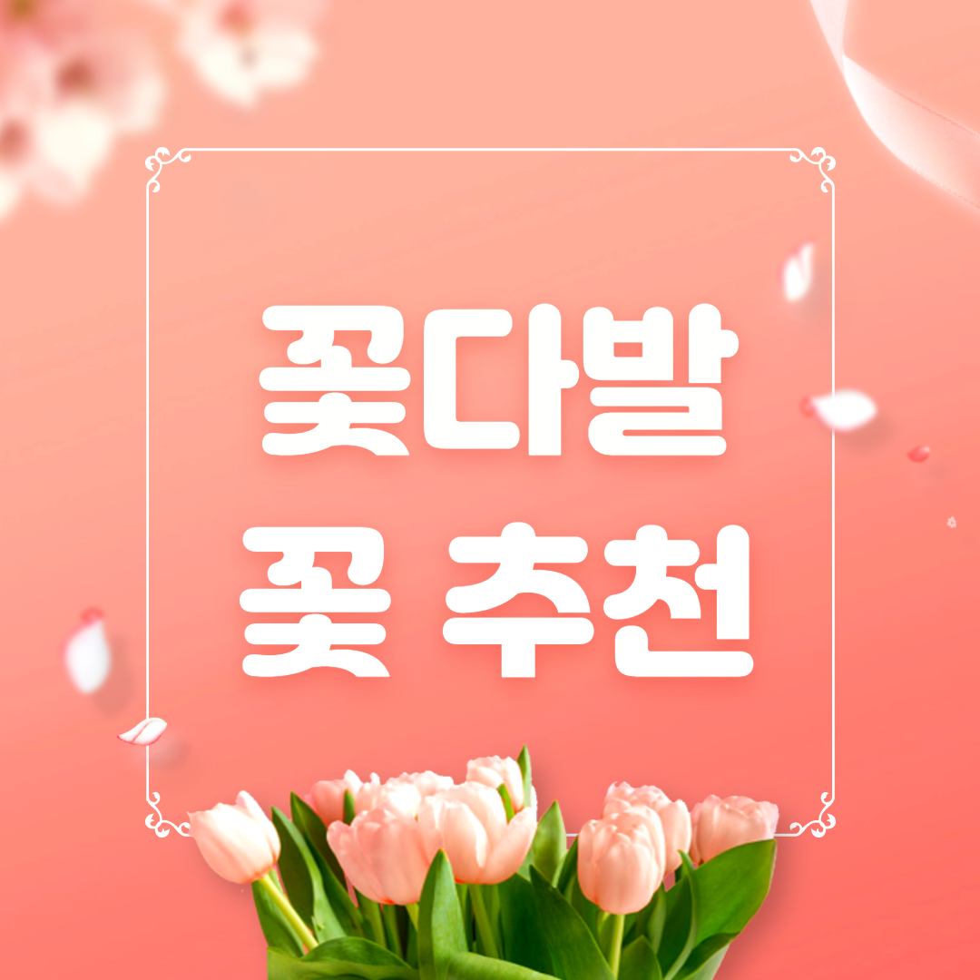 꽃다발 추천 - 선물하기 좋은 꽃 종류 추천 ( + 꽃말 ) 꽃다발 추천 - 선물하기 좋은 꽃 종류 추천 ( + 꽃말 )
