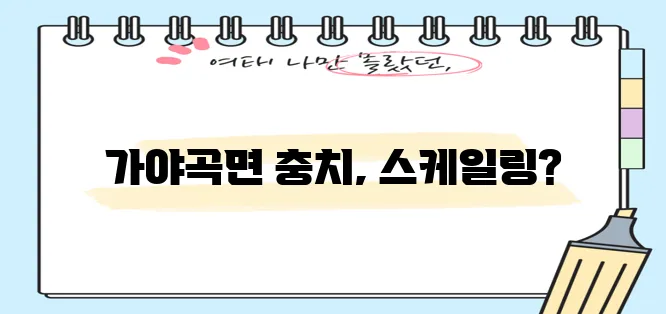 충남 논산 가야곡면 충치 치료와 스케일링 잘하는 치과 TOP3는 바로 여기입니다!