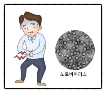 노로바이러스 증상 빠르게 대처하는 방법_9