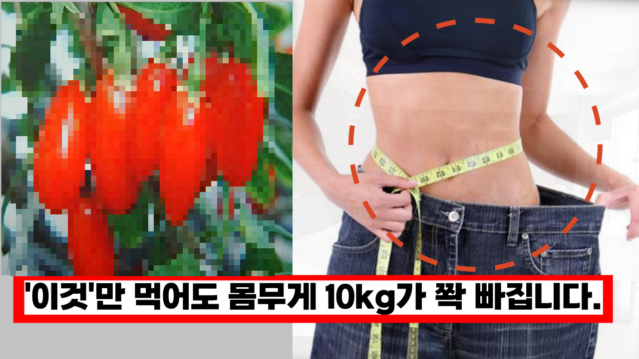  이렇게 먹기만 해도 10kg 감량이 가능합니다. 전문가가 알려주는 복부 지방 태워버리는 꿈의 레시피