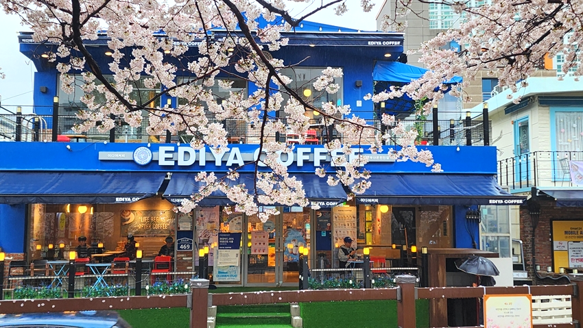 벚꽃이 예쁜 카페거리