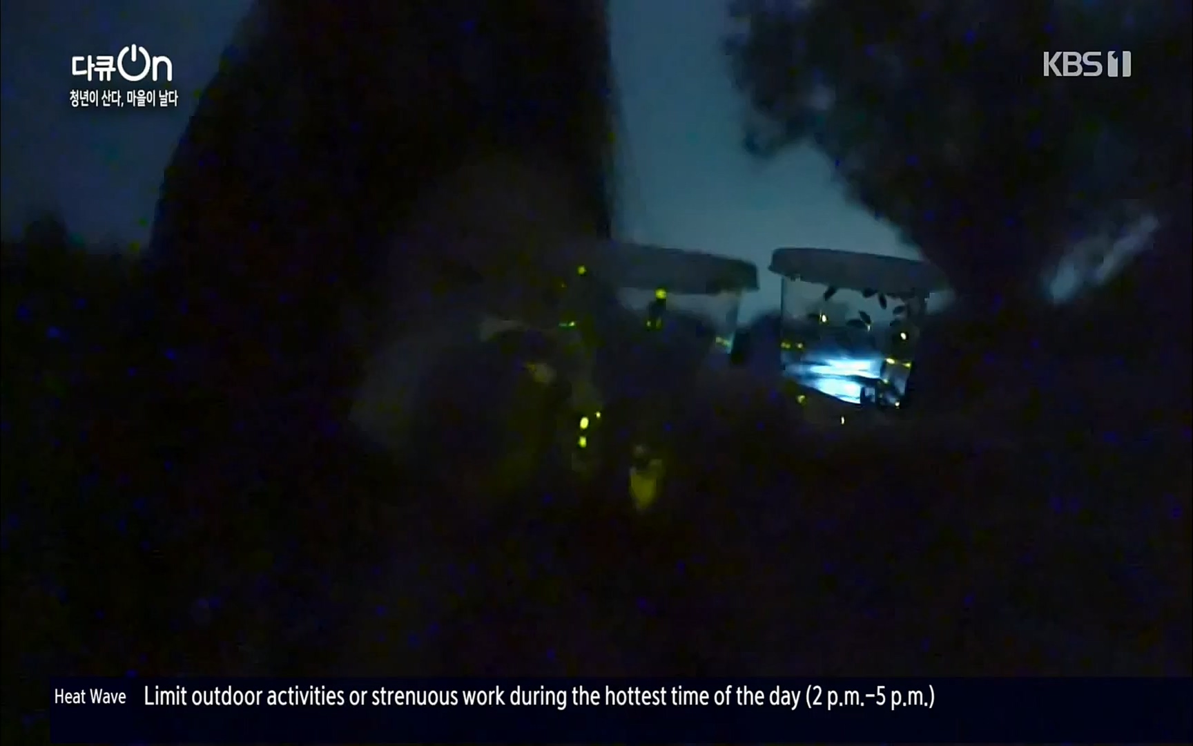 다큐 On.E146.220701p.H264-F1RST.mp4_20220704_205935.446.jpg