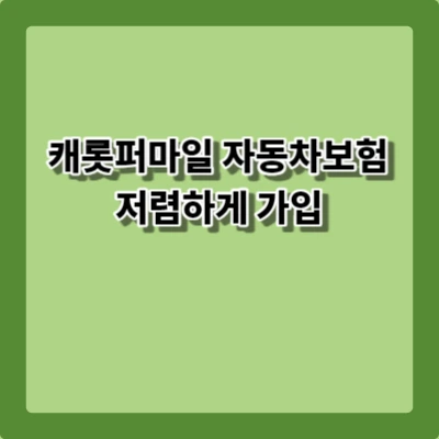 캐롯퍼마일