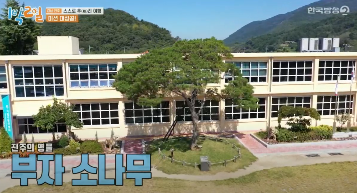  진주 부자소나무 1박 2일 위치는 어디?