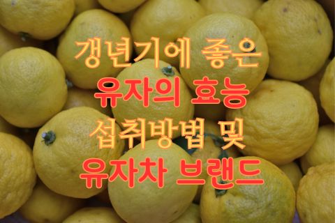 갱년기에 좋은 유자의 효능 섭취방법&#44; 유자차 브랜드