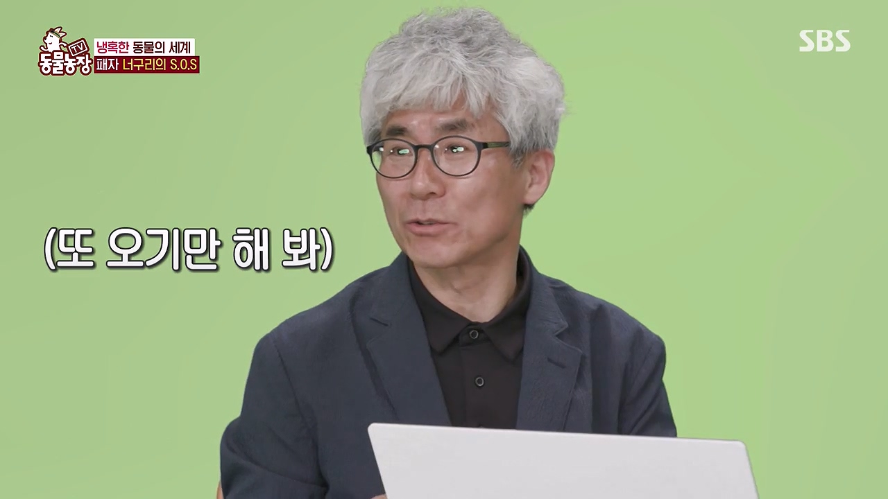 TV 동물농장.E1172.240520p-NEXT.mp4_20240519_163713.028.jpg