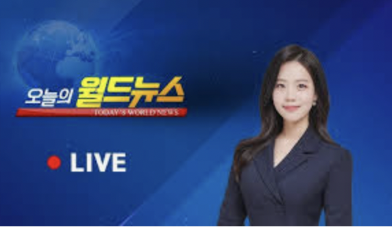 정다영 아나운서 방송 활동