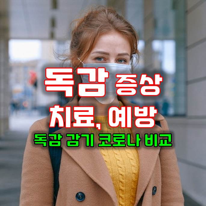  독감 증상 원인 치료 예방 합병증 자세히 알아보세요