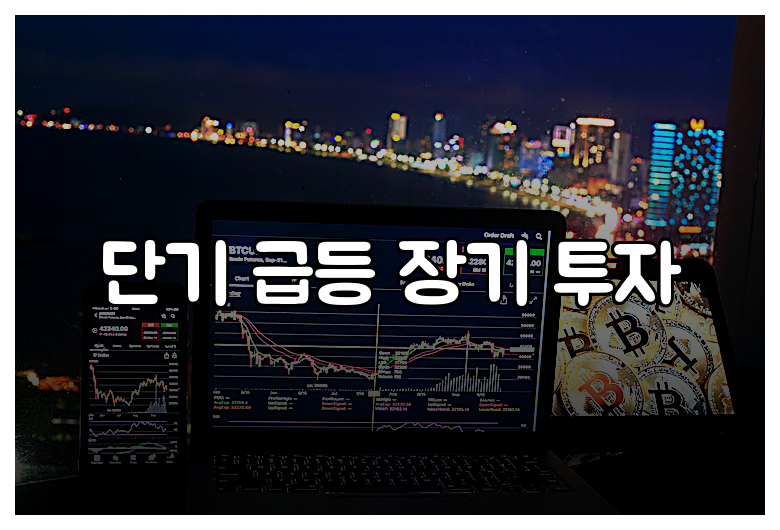 단기 급등 장기 투자