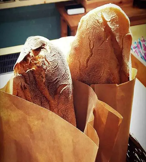 카페포토피아