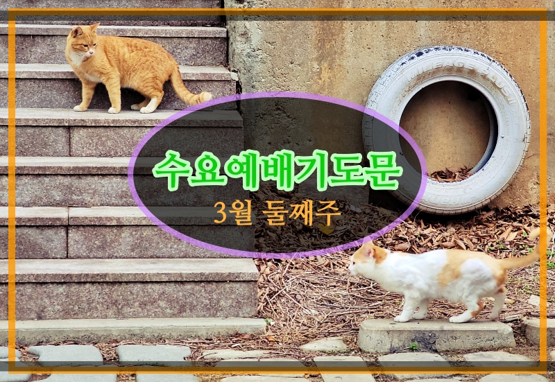  수요예배기도문 3월 둘째주