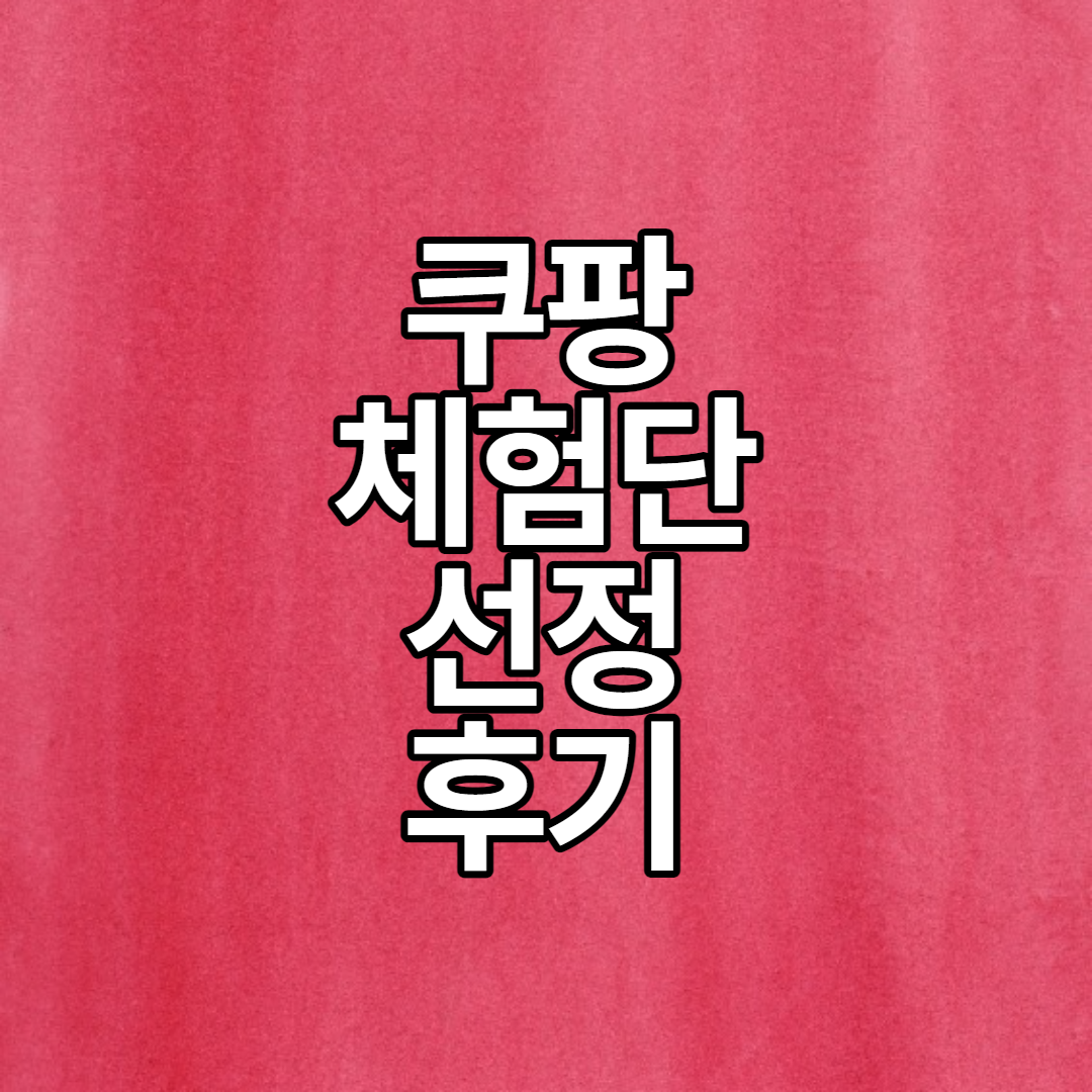  2021년 쿠팡체험단 선정 후기