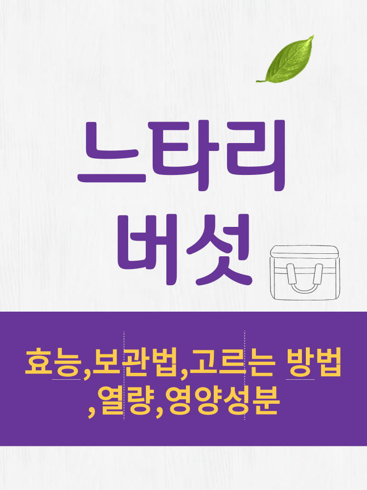 느타리버섯 효능 및 열량과 보관법 칼로리 총정리 