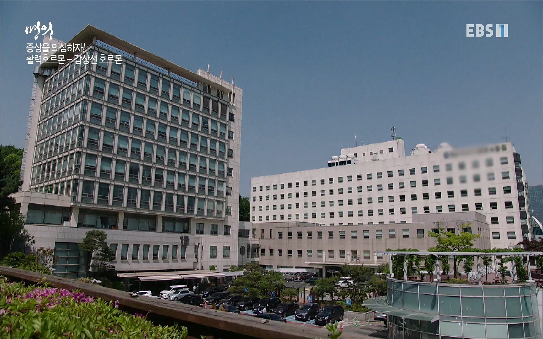 EBS 명의 헬스케어 - TV - 교육의 중심 EBS내 몸을 지배하는 7가지 호르몬 2부, 증상을 의심하자!.mp4_20220711_200207.853.jpg