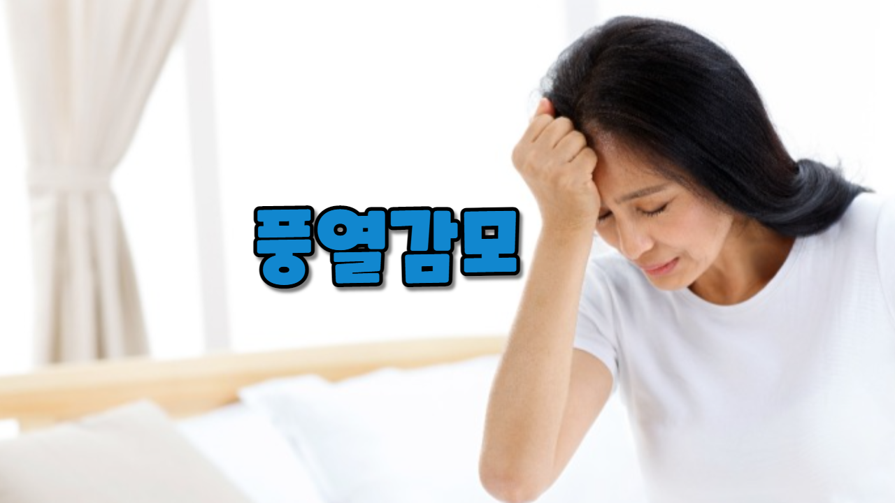  풍열감모
