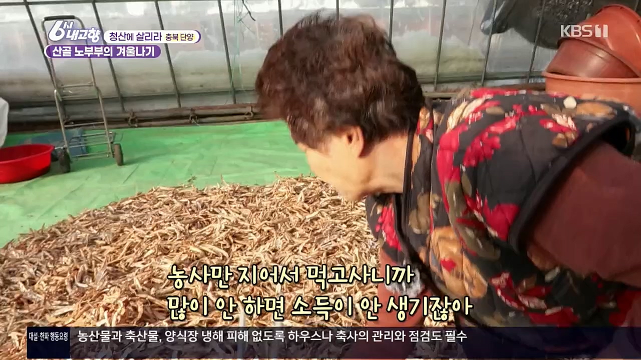 6시 내고향.E7687.221223p.H264-F1RST.mp4_20221229_204203.633.jpg