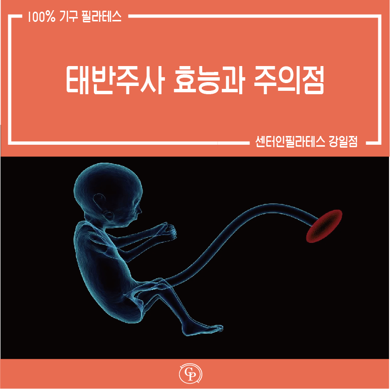 태반주사의 [미사역 필라테스] 2