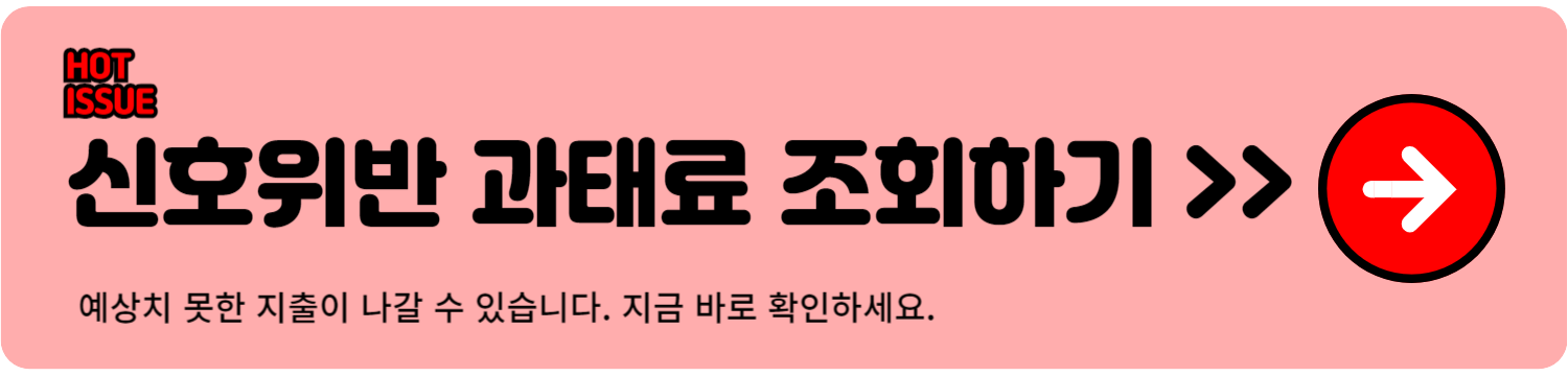 신호위반 실시간 조회