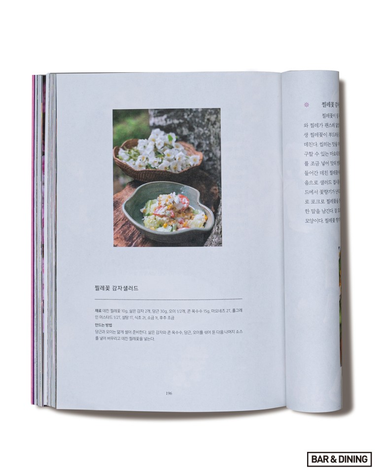 쿠킹을 위한 레시피북 BOOK TRAVEL | 지속 가능한 홈 11