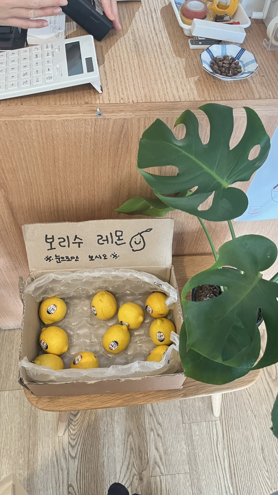 보리수카페 이미지
