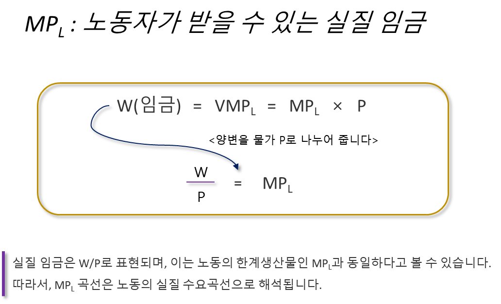 MPL 노동자의 명목임금