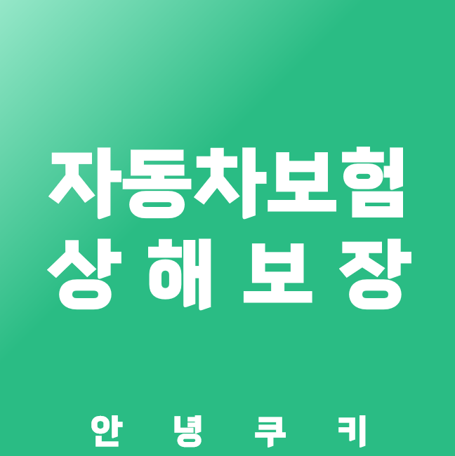 자동차 보험 갱신 체크리스트 안내