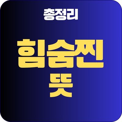 썸네일_힘숨찐 뜻