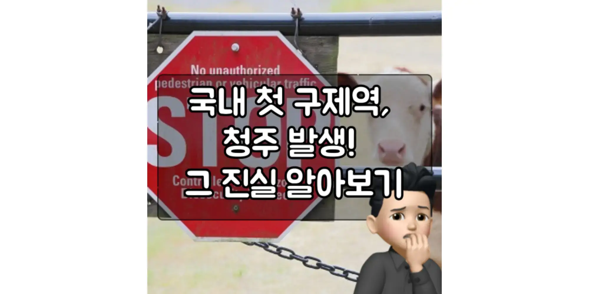  국내 첫 구제역, 청주 발생! 그 진실 알아보기