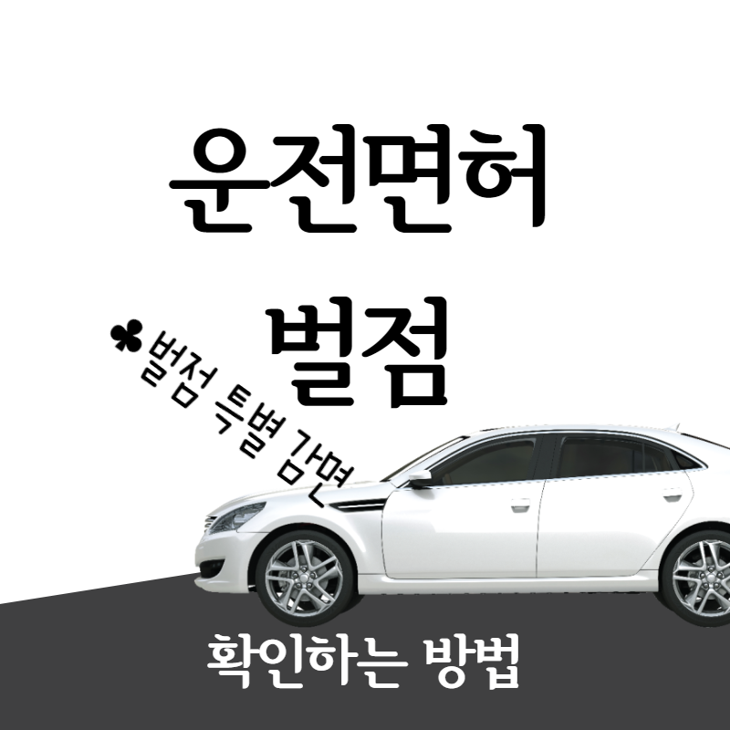  운전면허 벌점 확인하기! 벌점 특별감면 실시