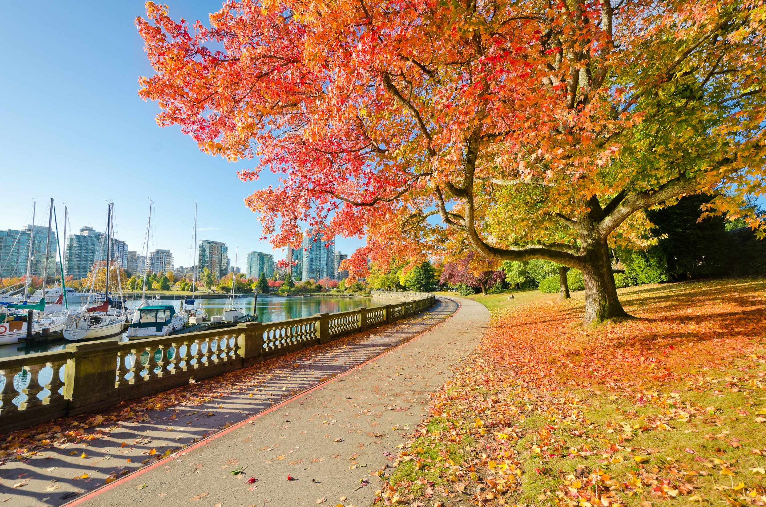 스탠리 파크 Stanley Park