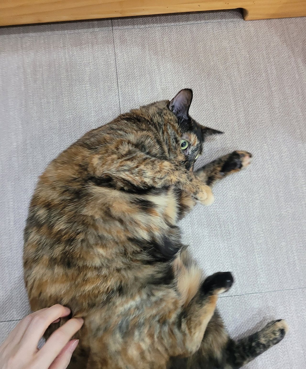 호텔하루 이미지