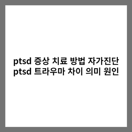 ptsd 증상 치료 방법 자가진단 ptsd 트라우마 차이 의미 원인