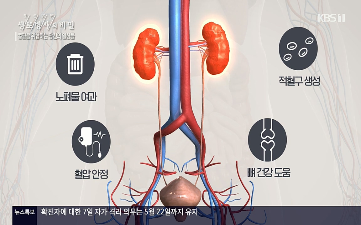 생로병사의 비밀.E819.220421p-NEXT.mp4_20220421_194724.586.jpg