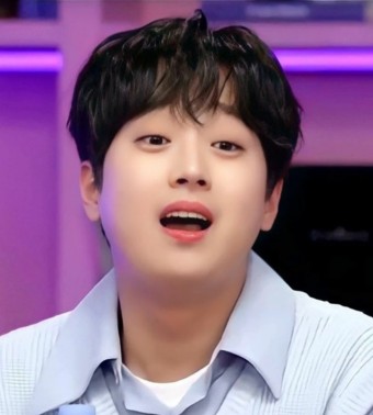 이찬원 스토킹 중년여자 정리 35