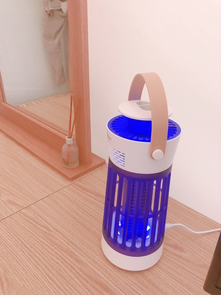 글램핑장 용인 양지리조트 보고 [아이와 갈만한 곳] 반려동물 동반 2