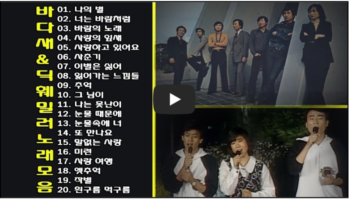 바다새 노래모음